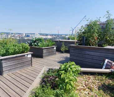 JETZT TOPAKTION: EIN MONAT MIETFREI !!! 3-ZIMMERWOHNUNG MIT TOPAUSS... - Photo 3