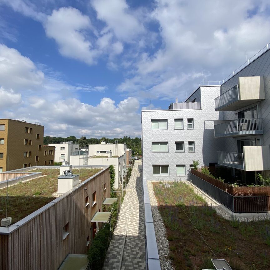 WOHNQUARTIER WILDGARTEN - Familienfreundliches Wohnen auf der Sonnenseite Wiens direkt am Rosenhügel - Photo 1