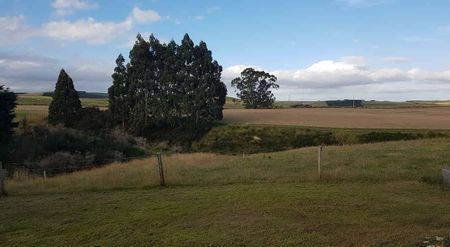 Warm and Sunny Rural Four Bedroom House - Photo 3