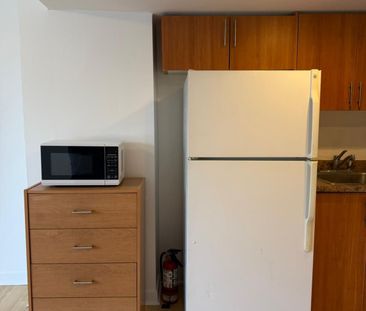 For Lease - 303 Porte Road Unit# Basement, Ajax, Ontario - Photo 4