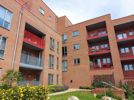 1 bedroom apartment to rent - Photo 4