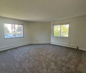 Bellamy Hill - 9730 Bellamy Hill Road — 1 bed - Photo 4