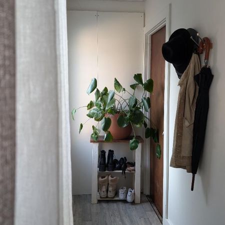 Logement 1 chambre et 1 salle de bain- animaux acceptés - Photo 3