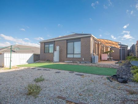 MAGNIFICANT MEWS - Photo 4