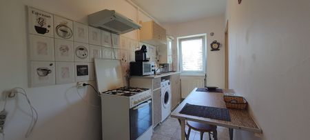 Apartment for rent in Cluj-Napoca, near the University of Medicine and Pharmacy, Gheorghe Dima street, with 1 bedroom, kitchen, balcony - Photo 4