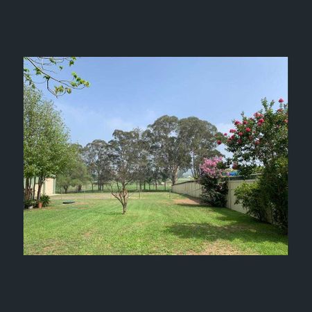 Freshly Updated 3 Bedroom - Photo 3