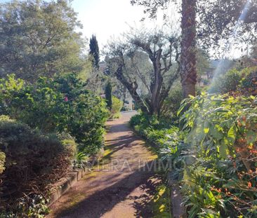 location appartement meublé 1 Pièce(s) - Photo 2