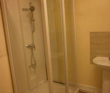 Location Appartement 1 pièce 24m² DIJON 21000 - Photo 3