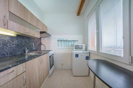 Podnájem bytu 1+1 [29 m - Fotografie 4