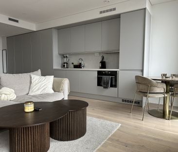 Lodjursstråket, Göteborg - Foto 4