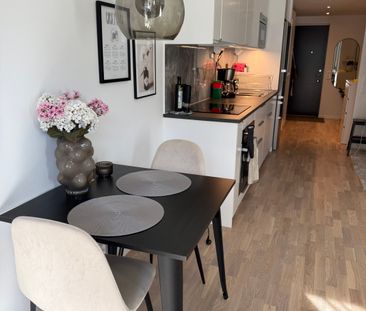 Einar Hansens Esplanad, Malmö - Foto 6