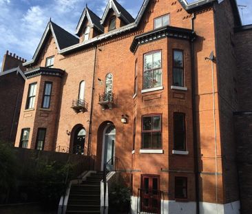 1 bedroom apartment to rent - Photo 6