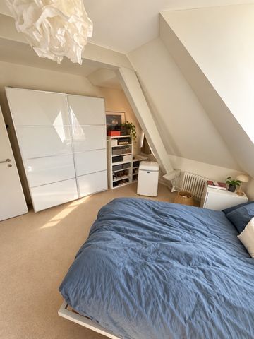 Furnished Penthouse w/ 360 Rooftop in Wiedikon, until April 2027 - Photo 4