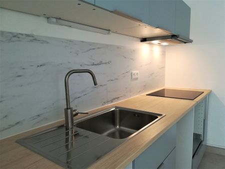 Location Appartement 3 pièces 62m² ANIANE 34150 - Photo 2