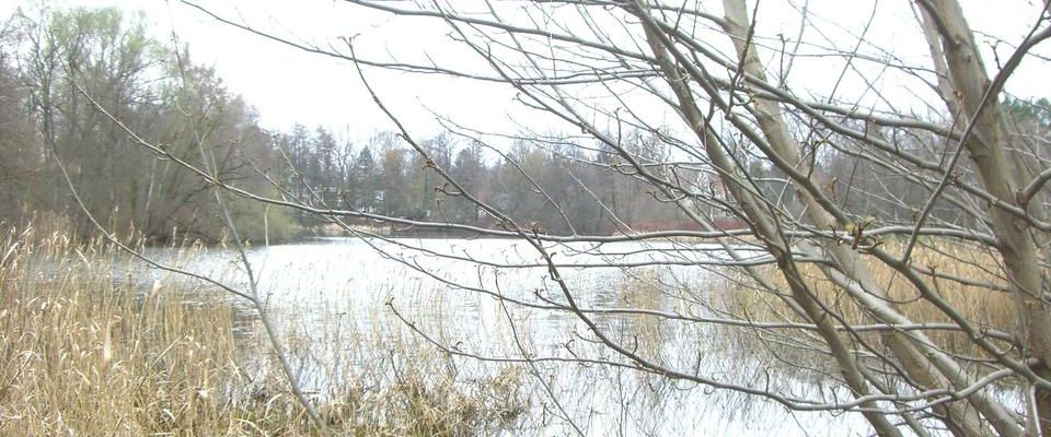 Sonniges 2-Bett Zimmer für 2 ♀♀/ ♂♀ - Photo 1