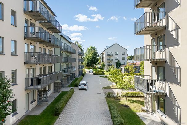 Paradisgränd 3 - Photo 1