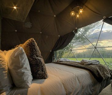 Newtyehurst Cottages - Photo 3