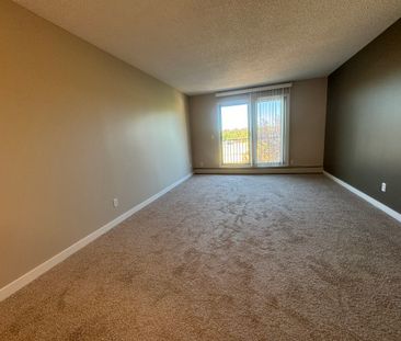 Spacious 2 Bedroom Cat Friendly Suite in Clearview! - Photo 2