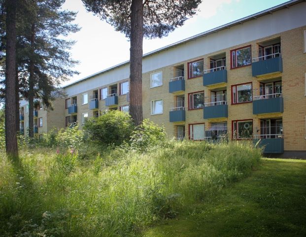 Hedhamregatan 7 E - Photo 1