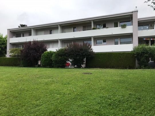 Appartement de 3 pièces dans la vallée de la Limmat, entre Baden et Zurich - Photo 1