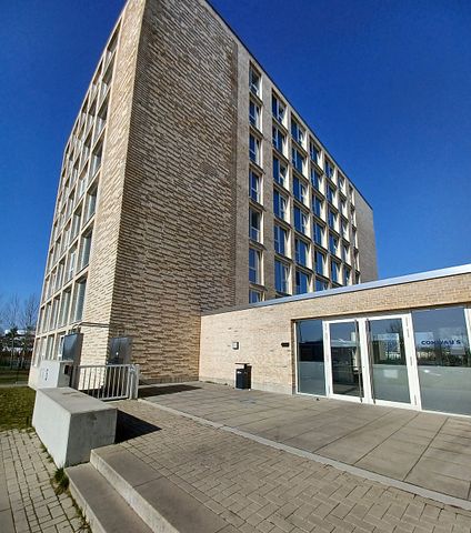 Alle Kosten inklusive! Moderne Mikroapartments für Studenten - Photo 3