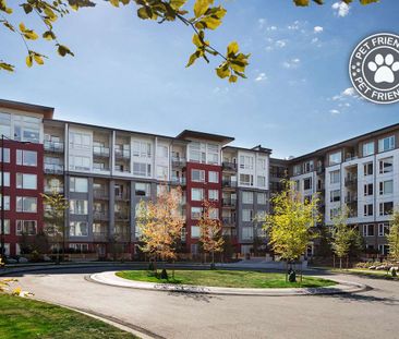 Fraser Flats Apartments - 1 Bedroom - Photo 2