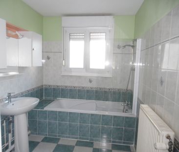 Location Appartement 2 pièces 60m² SCHILTIGHEIM 67300 - Photo 6