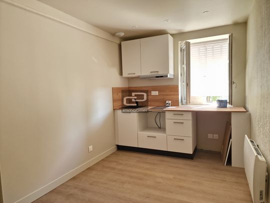 Location Appartement 1 pièce 13m² COUZON AU MONT D OR 69270 - Photo 1
