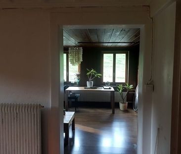 3-ROOM APARTMENT IN NIEDERSCHERLI (BE), FURNISHED, TEMPORARY - Photo 1