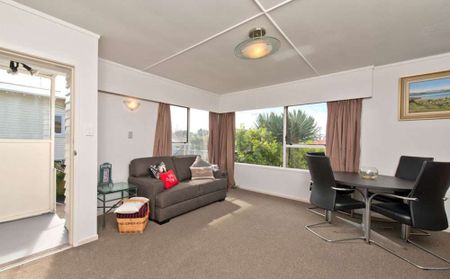 Two-bedroom unit opposite Cornwall Park - Photo 5