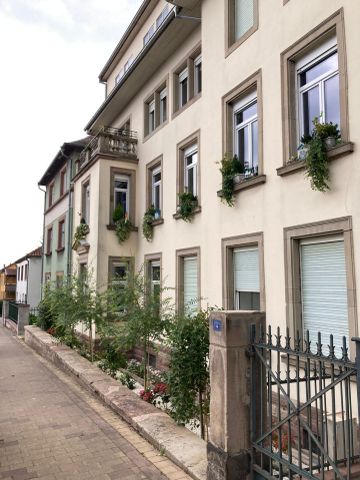 Location Appartement 1 pièce 34m² SARREBOURG 57400 - Photo 4