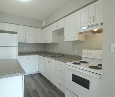 For Lease - 736 Old Albert Street Unit# 311, Waterloo, Ontario - Photo 2