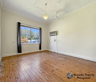 339 Maitland Road, Mayfield West - Photo 6