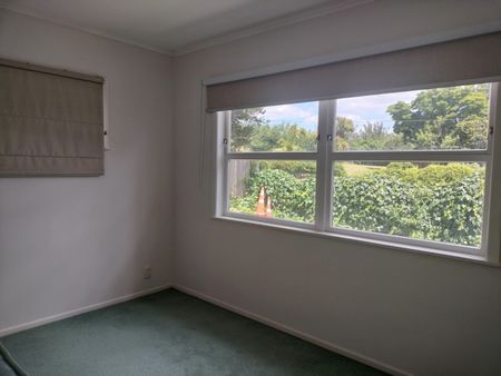 Family Home on Dobson - Waihi - Photo 3