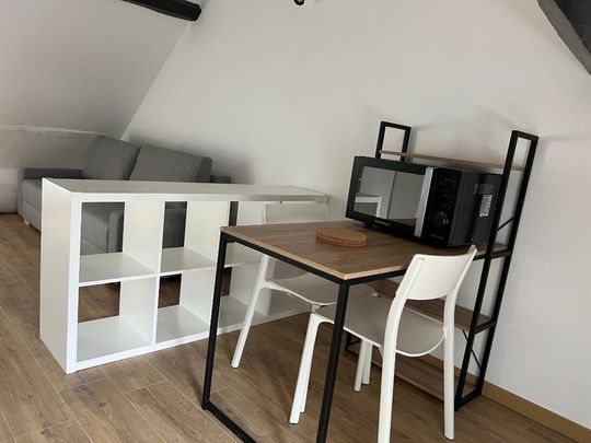 Location Appartement 1 pièce Meublé 13m² DIJON 21000 - Photo 1