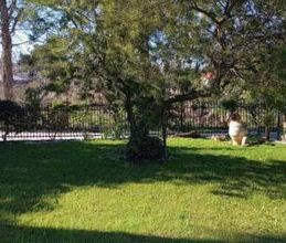 Μονοκατοικία για ενοικίαση - Ρίο, - Photo 1