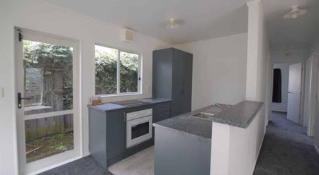 46A Hindmarsh Street - Photo 4