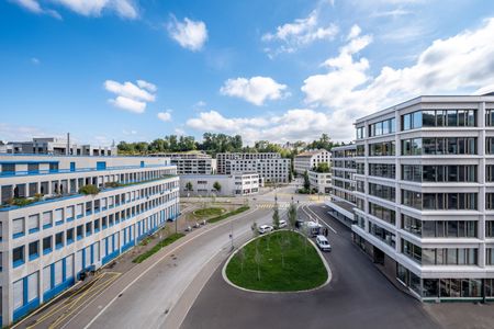 Helle und grosszügige 5.5 Zimmer-Wohnung - Foto 2