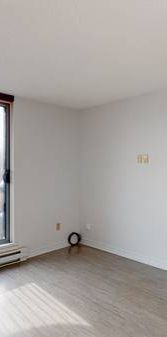 All Inclusive Studio - Centretown - November Move In - Photo 1