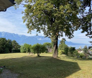 Un havre de paix aux portes de Vevey - Photo 5