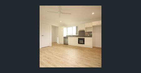 Modern and Spacious Granny Flat - Photo 5