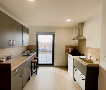 Studio - Bronze - Photo 2