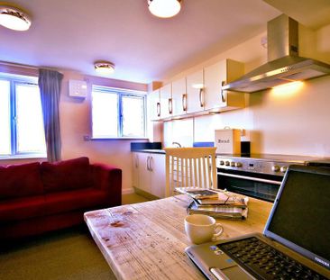 1 bedroom house to rent - Photo 3