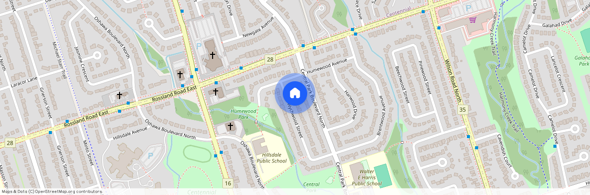 617 Wychwood Street Unit# main, Oshawa