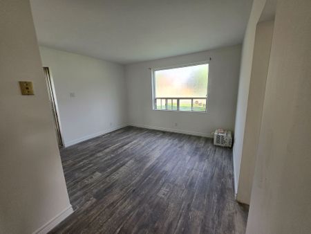 For Lease - 41 Essa Road Unit# 1, New Tecumseth, Ontario - Photo 3