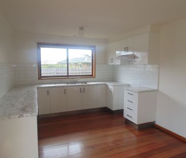 Freshly Renovated - Photo 4