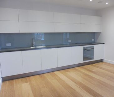 Craigie Drive - Photo 4