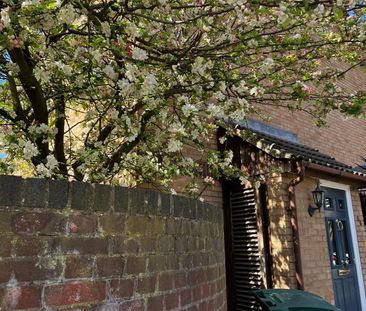 1 Bed Terraced House, Portland Road, N15 - Photo 2