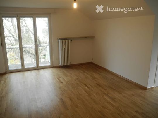 Schöne 2-Zimmer Wohnung im grünen Bruderholz - Photo 1