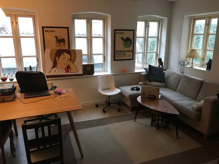 Charmerende delevenlig lejlighed for 3 pers. centralt i Aarhus - Photo 3